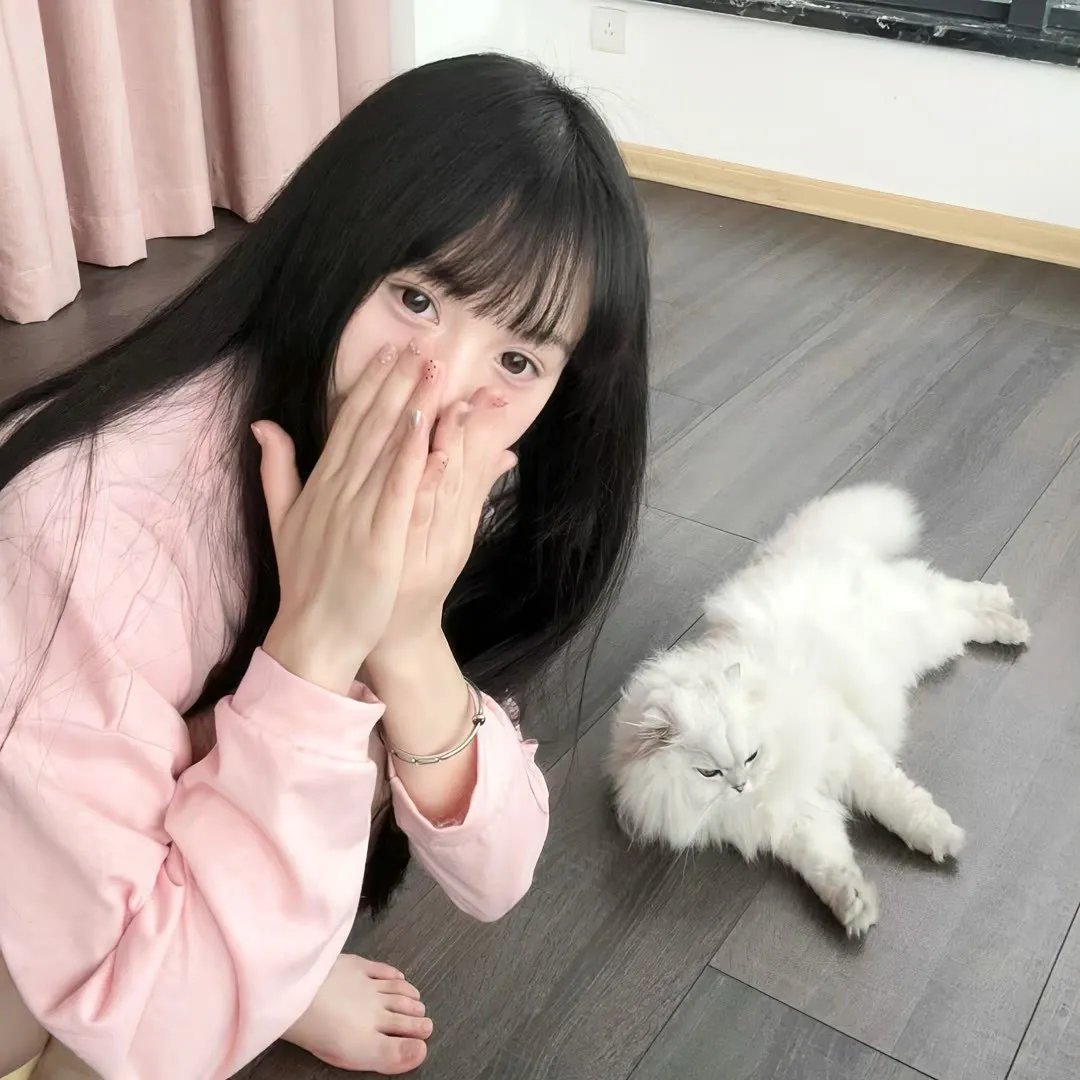 正义之师行动