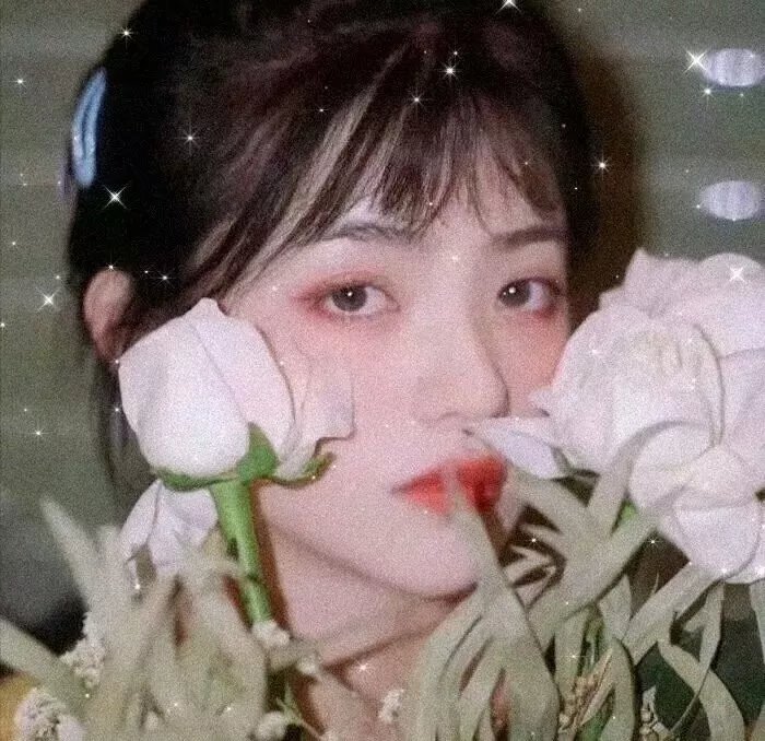 给我庇护